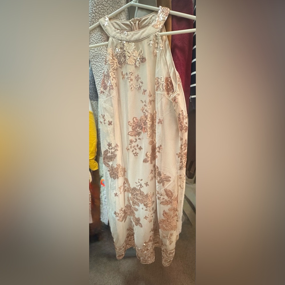 Floral Embroidered Sheer Dress